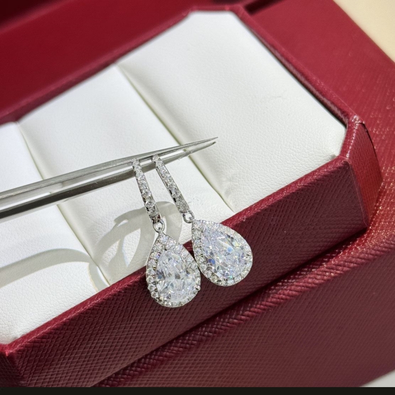 Ca*t*er earrings